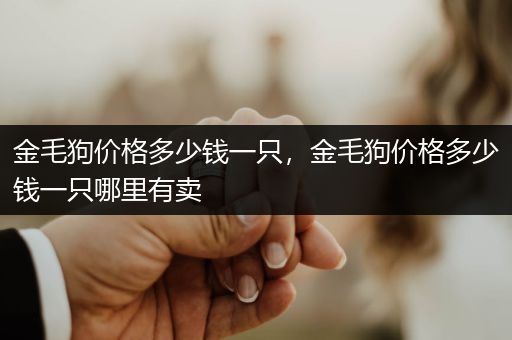 金毛狗價(jià)格多少錢一只，金毛狗價(jià)格多少錢一只哪里有賣