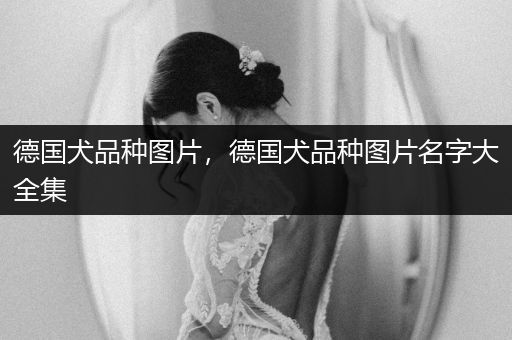 德國犬品種圖片，德國犬品種圖片名字大全集