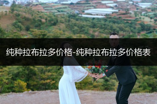 純種拉布拉多價格-純種拉布拉多價格表