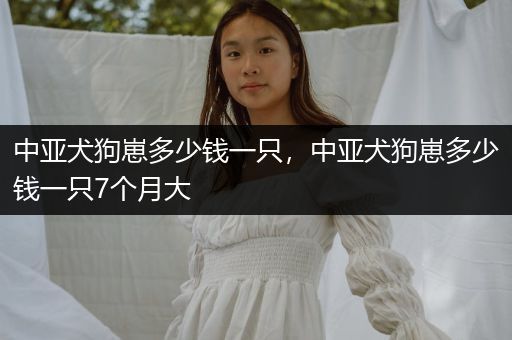 中亞犬狗崽多少錢一只，中亞犬狗崽多少錢一只7個月大