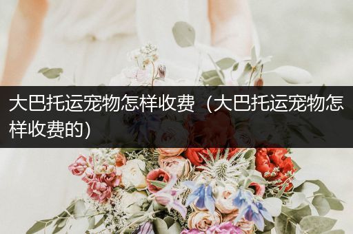 大巴托運寵物怎樣收費（大巴托運寵物怎樣收費的）