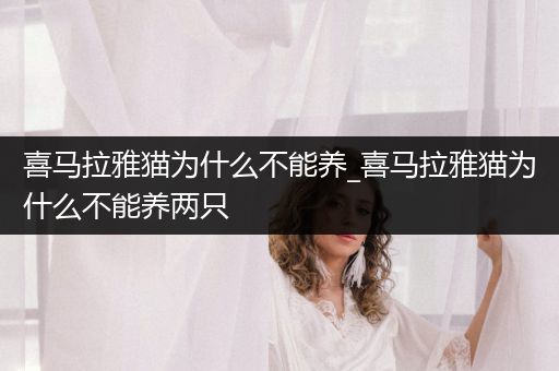 喜馬拉雅貓為什么不能養(yǎng)_喜馬拉雅貓為什么不能養(yǎng)兩只