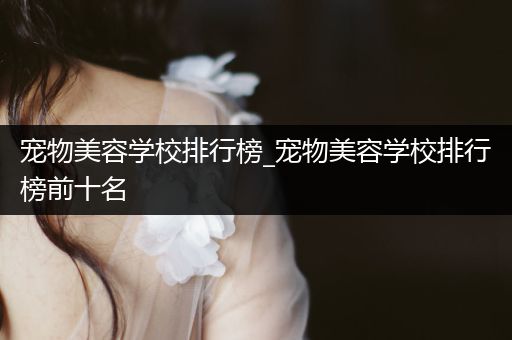 寵物美容學校排行榜_寵物美容學校排行榜前十名