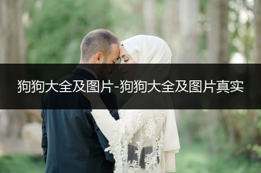 狗狗大全及圖片-狗狗大全及圖片真實(shí)