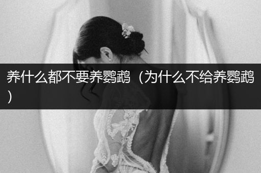 養(yǎng)什么都不要養(yǎng)鸚鵡（為什么不給養(yǎng)鸚鵡）