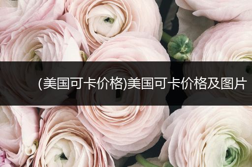 （美國可卡價格)美國可卡價格及圖片