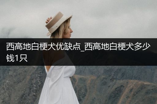 西高地白梗犬優(yōu)缺點_西高地白梗犬多少錢1只