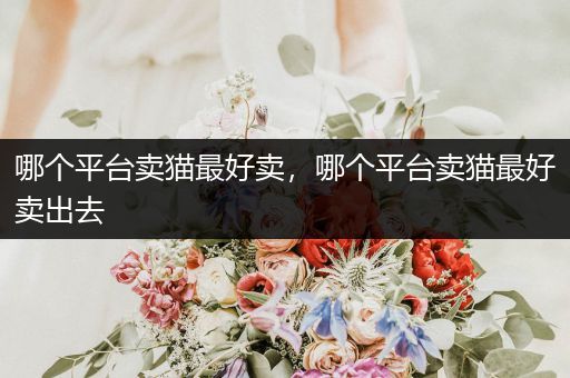 哪個平臺賣貓最好賣，哪個平臺賣貓最好賣出去