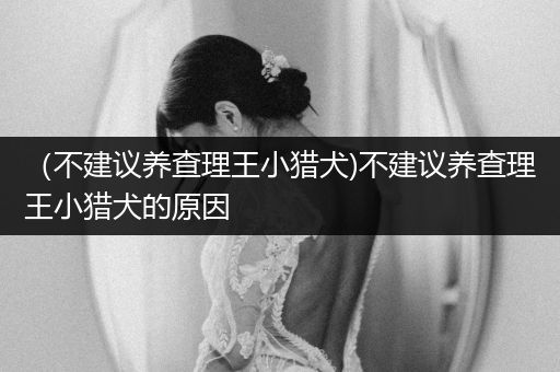 （不建議養(yǎng)查理王小獵犬)不建議養(yǎng)查理王小獵犬的原因