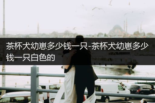 茶杯犬幼崽多少錢一只-茶杯犬幼崽多少錢一只白色的