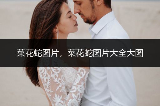 菜花蛇圖片，菜花蛇圖片大全大圖