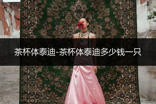 茶杯體泰迪-茶杯體泰迪多少錢(qián)一只