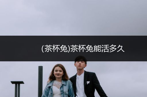 （茶杯兔)茶杯兔能活多久