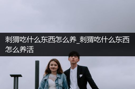 刺猬吃什么東西怎么養(yǎng)_刺猬吃什么東西怎么養(yǎng)活