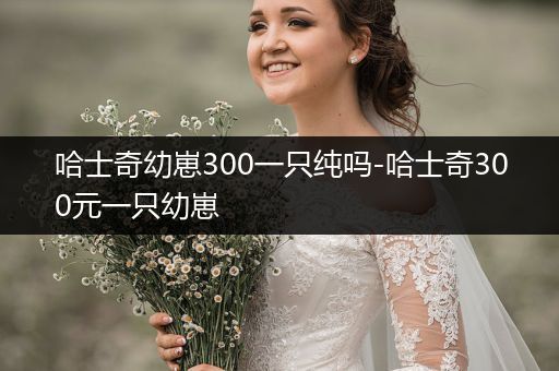 哈士奇幼崽300一只純嗎-哈士奇300元一只幼崽