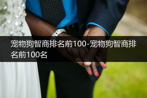 寵物狗智商排名前100-寵物狗智商排名前100名