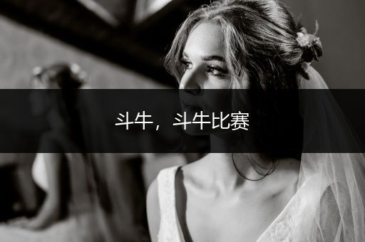 斗牛，斗牛比賽