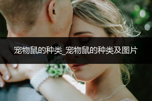 寵物鼠的種類_寵物鼠的種類及圖片