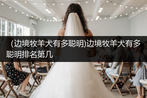 （邊境牧羊犬有多聰明)邊境牧羊犬有多聰明排名第幾