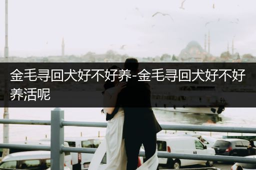 金毛尋回犬好不好養(yǎng)-金毛尋回犬好不好養(yǎng)活呢