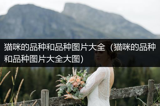 貓咪的品種和品種圖片大全（貓咪的品種和品種圖片大全大圖）