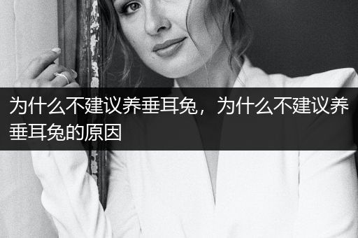 為什么不建議養(yǎng)垂耳兔，為什么不建議養(yǎng)垂耳兔的原因