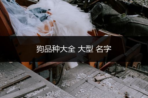 狗品種大全 大型 名字