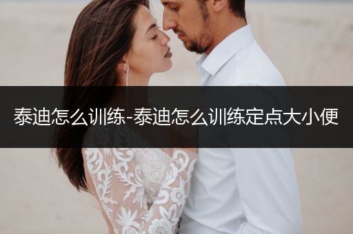 泰迪怎么訓(xùn)練-泰迪怎么訓(xùn)練定點大小便