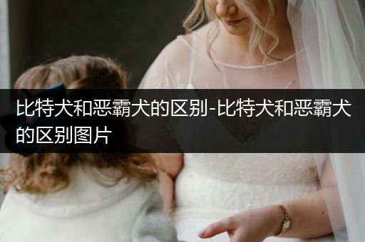 比特犬和惡霸犬的區(qū)別-比特犬和惡霸犬的區(qū)別圖片