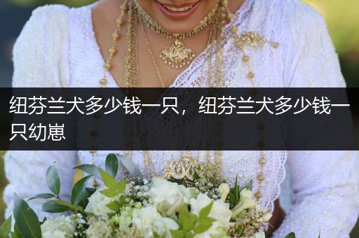 紐芬蘭犬多少錢一只，紐芬蘭犬多少錢一只幼崽