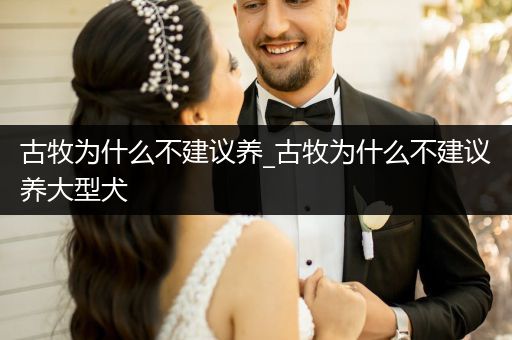 古牧為什么不建議養(yǎng)_古牧為什么不建議養(yǎng)大型犬