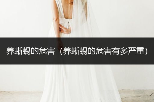 養(yǎng)蜥蜴的危害（養(yǎng)蜥蜴的危害有多嚴(yán)重）