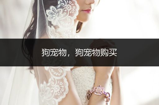狗寵物，狗寵物購(gòu)買