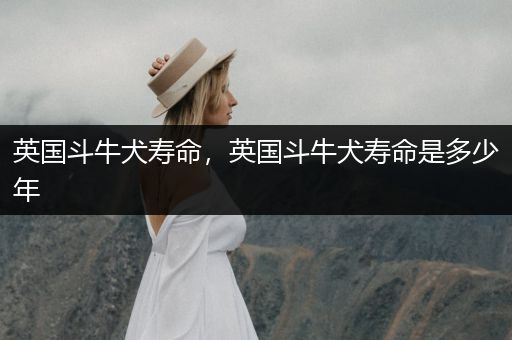 英國(guó)斗牛犬壽命，英國(guó)斗牛犬壽命是多少年