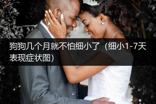 狗狗幾個(gè)月就不怕細(xì)小了（細(xì)小1-7天表現(xiàn)癥狀圖）