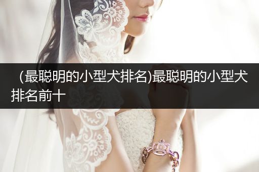 （最聰明的小型犬排名)最聰明的小型犬排名前十