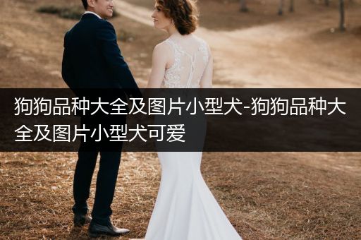 狗狗品種大全及圖片小型犬-狗狗品種大全及圖片小型犬可愛