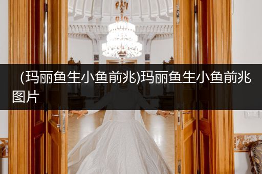 （瑪麗魚生小魚前兆)瑪麗魚生小魚前兆圖片