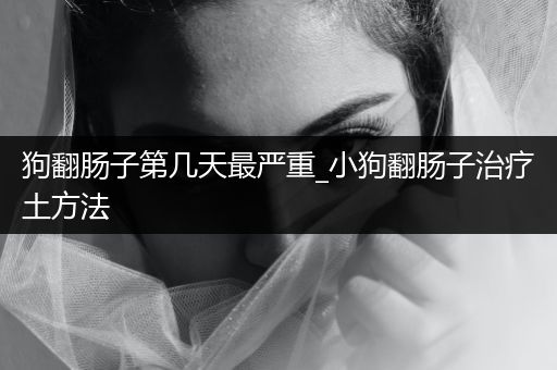 狗翻腸子第幾天最嚴(yán)重_小狗翻腸子治療土方法