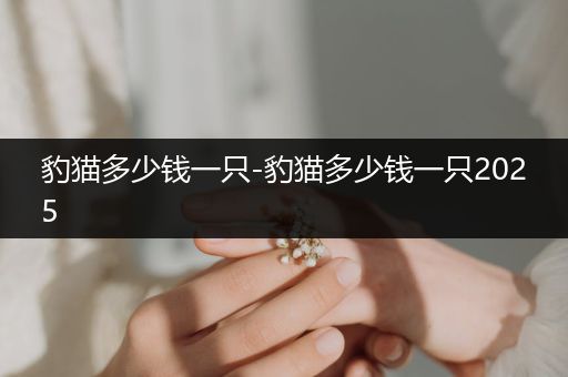 豹貓多少錢一只-豹貓多少錢一只2025