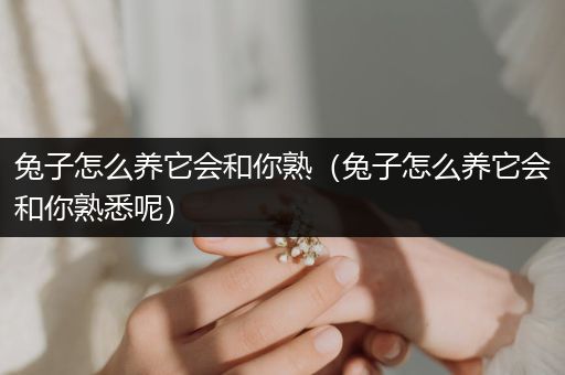 兔子怎么養(yǎng)它會和你熟（兔子怎么養(yǎng)它會和你熟悉呢）