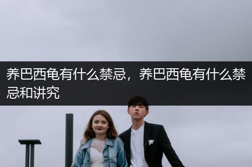 養(yǎng)巴西龜有什么禁忌，養(yǎng)巴西龜有什么禁忌和講究