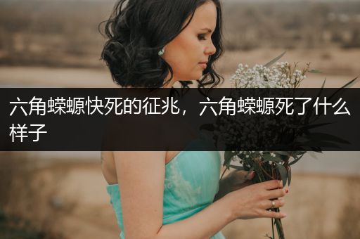 六角蠑螈快死的征兆，六角蠑螈死了什么樣子