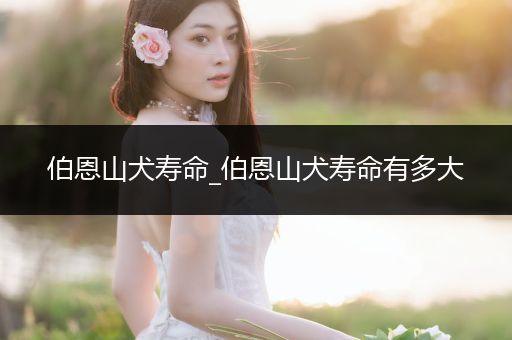 伯恩山犬壽命_伯恩山犬壽命有多大