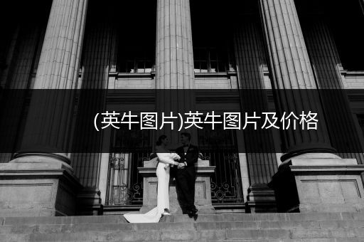 （英牛圖片)英牛圖片及價(jià)格