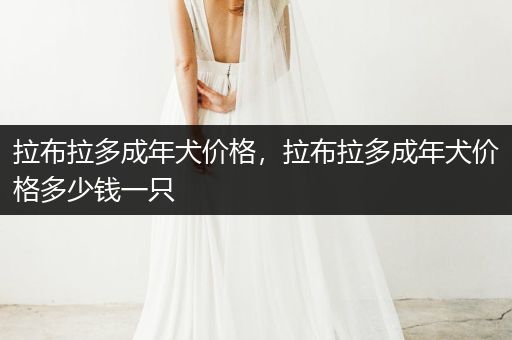 拉布拉多成年犬價格，拉布拉多成年犬價格多少錢一只