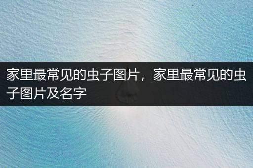 家里最常見的蟲子圖片，家里最常見的蟲子圖片及名字