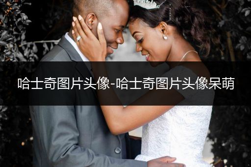 哈士奇圖片頭像-哈士奇圖片頭像呆萌