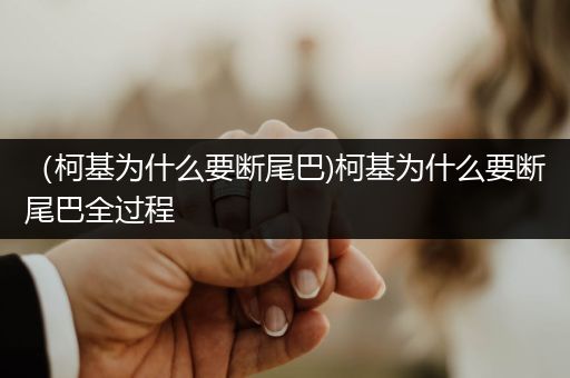 （柯基為什么要斷尾巴)柯基為什么要斷尾巴全過程