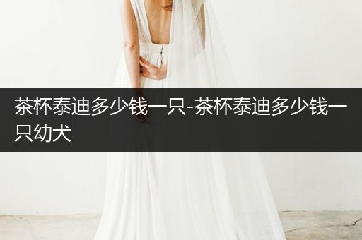 茶杯泰迪多少錢一只-茶杯泰迪多少錢一只幼犬